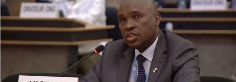 UN Human Rights Council’s Hypocrisy on Black Lives