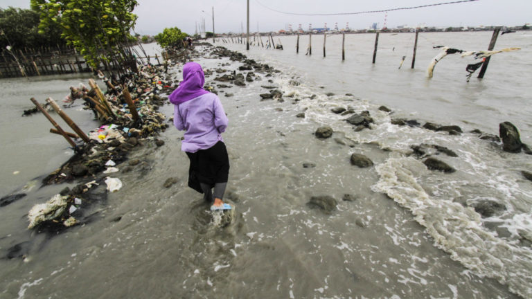 Ocean Justice: Where Social Equity and the Climate Fight Intersect